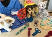 Stuffed animals around toy veterinary tools.