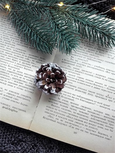 A pinecone and pine tree sprig on an open book.