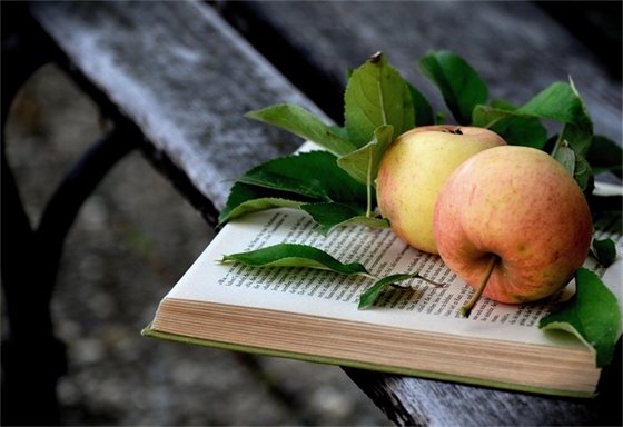 Two apples on an open book.